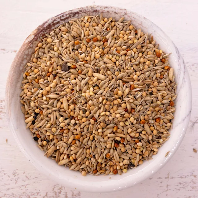rico-s-futterkiste-wellensittich-spezial-2-vogelfutter-1-kg image 1