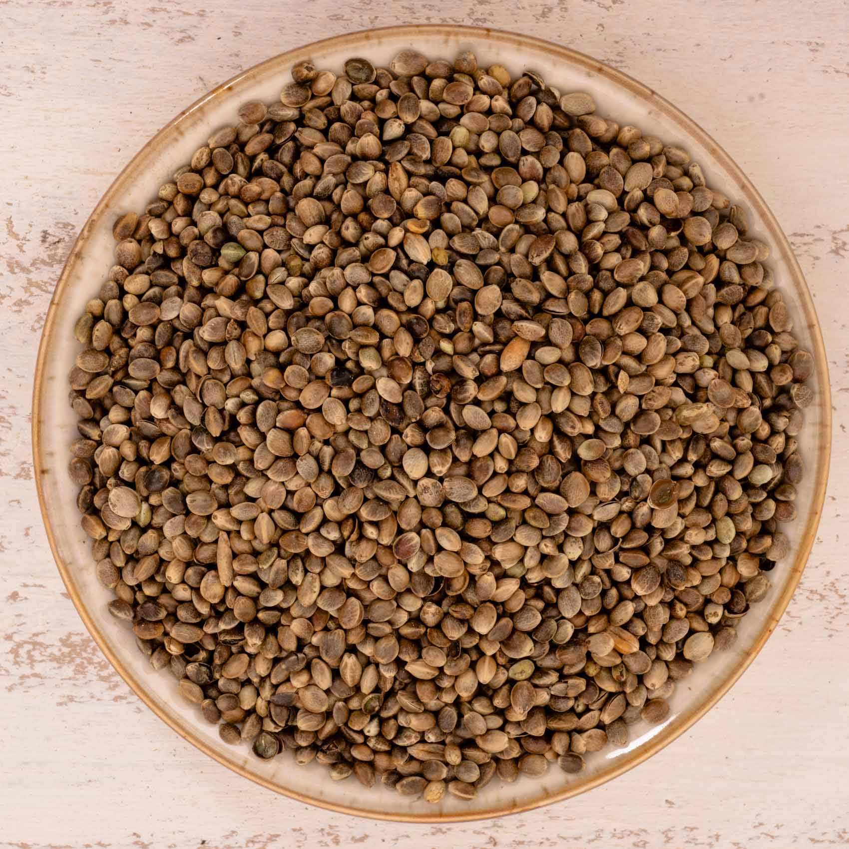 rico-s-futterkiste-einzelsaaten-hanf-vogelfutter-500-g-proteinreich image 1