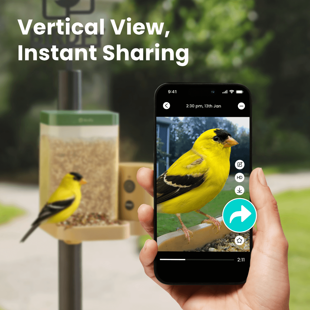 birdfy-feeder-rookie-vogelhaus-mit-kamera-1080p-inkl-mitgliedschaft image 2