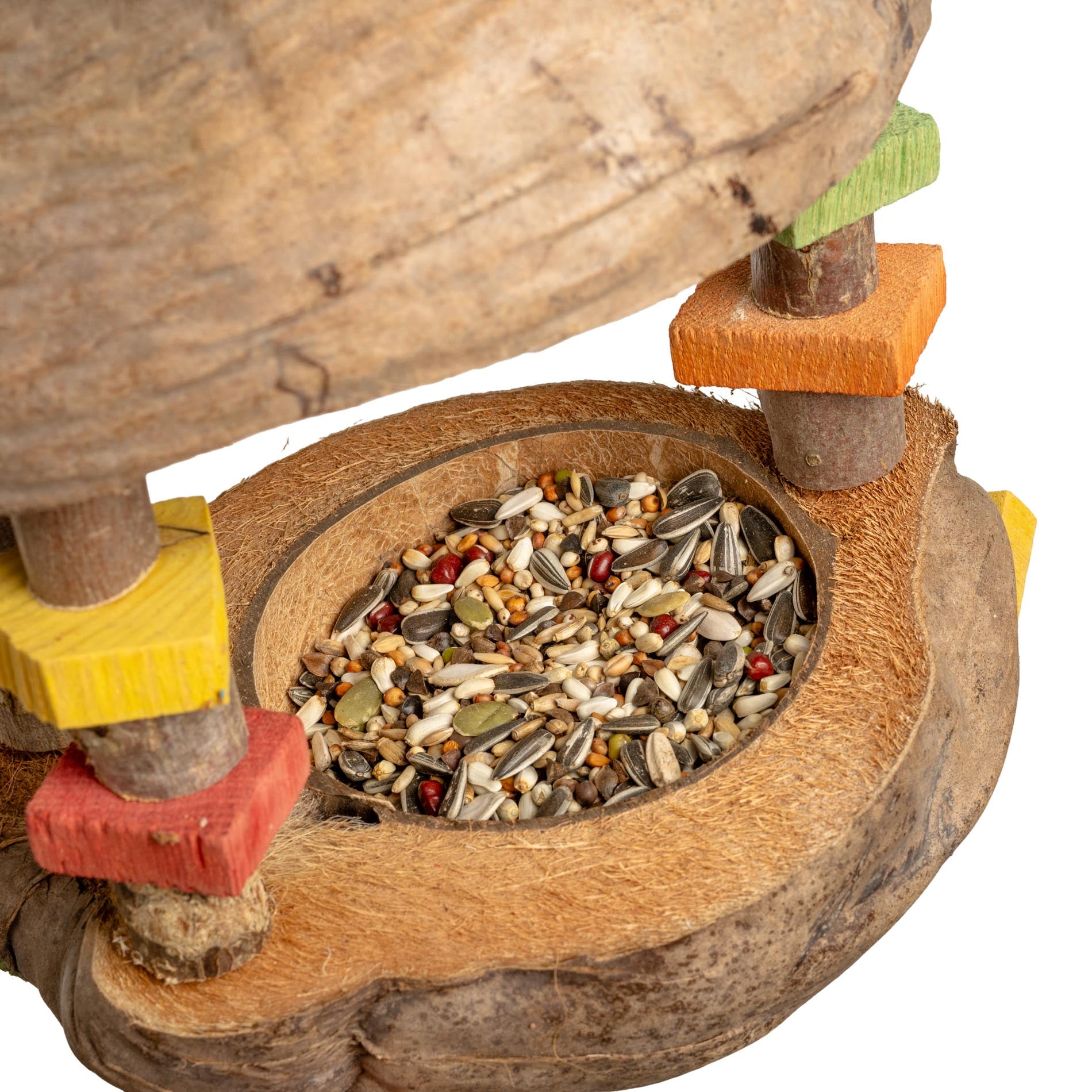 rico-s-futterkiste-kokosh-uschen-papageienspielzeug-futterschale image 3