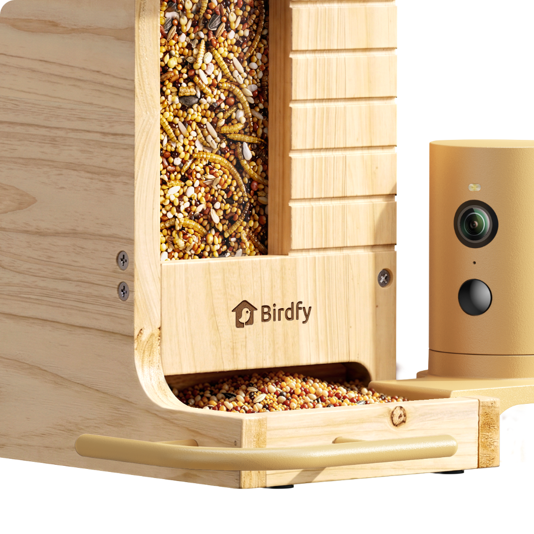 birdfy-feeder-wood-gift-set-vogelhaus-kamera-solar-holz image 4