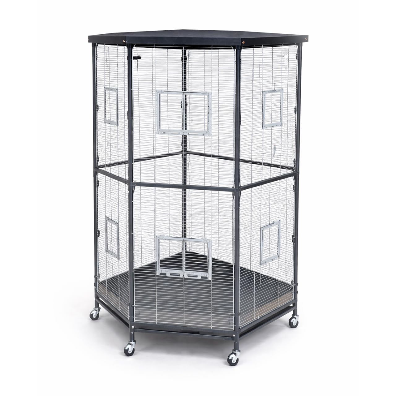 montana-denver-villa-esquina-eckvoliere-antik-platinum-75cm image 2