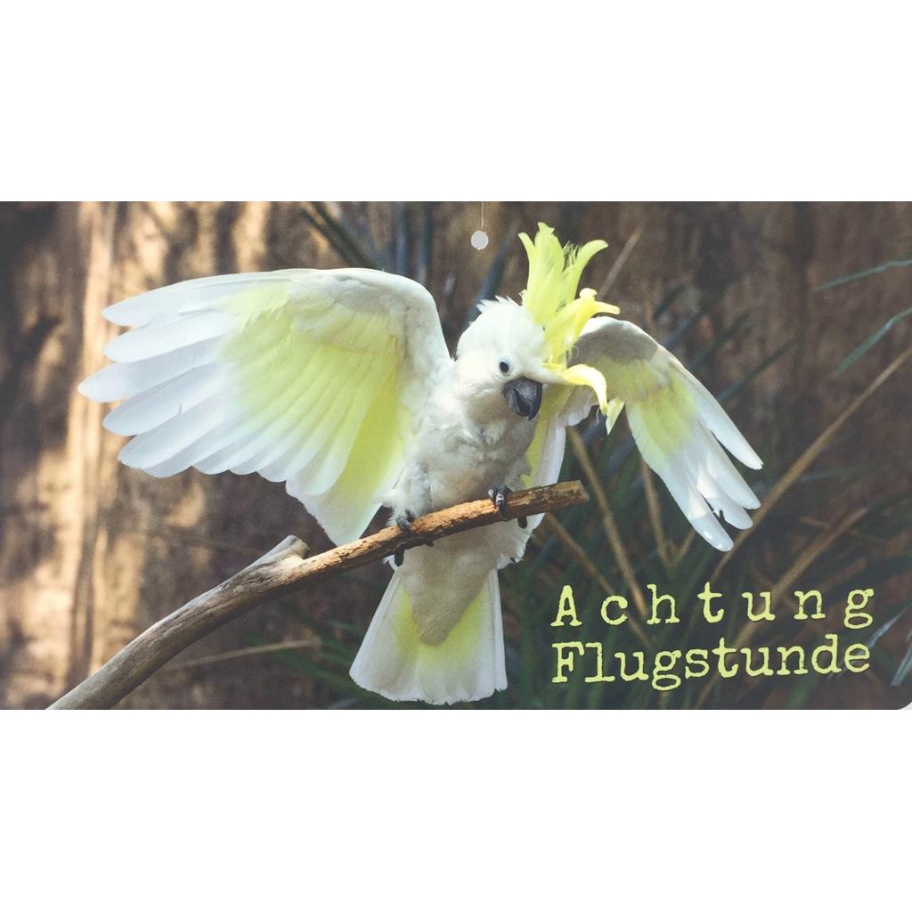rico-s-futterkiste-fo3-af-achtung-flugstunde-schild-20x35cm image 1