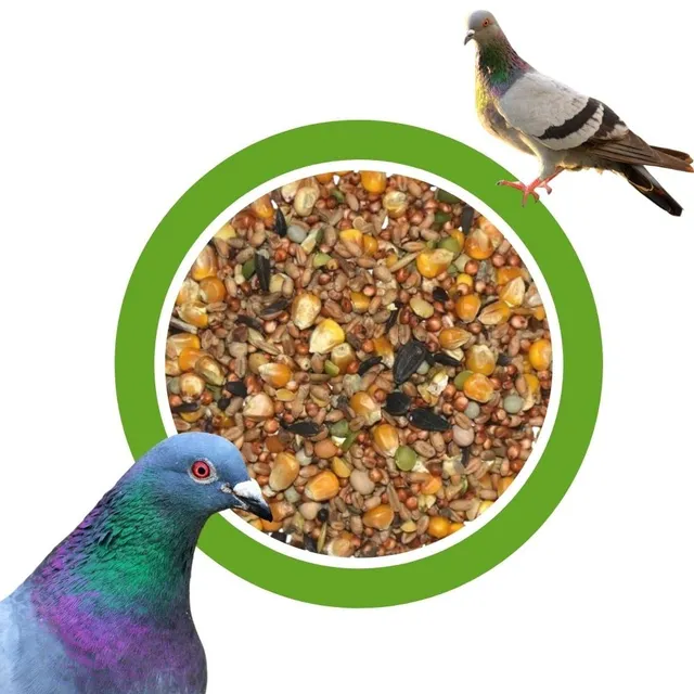 klasebo-vogelfutter-universal-taubenfutter-25kg-ganzjahresfutter image 1