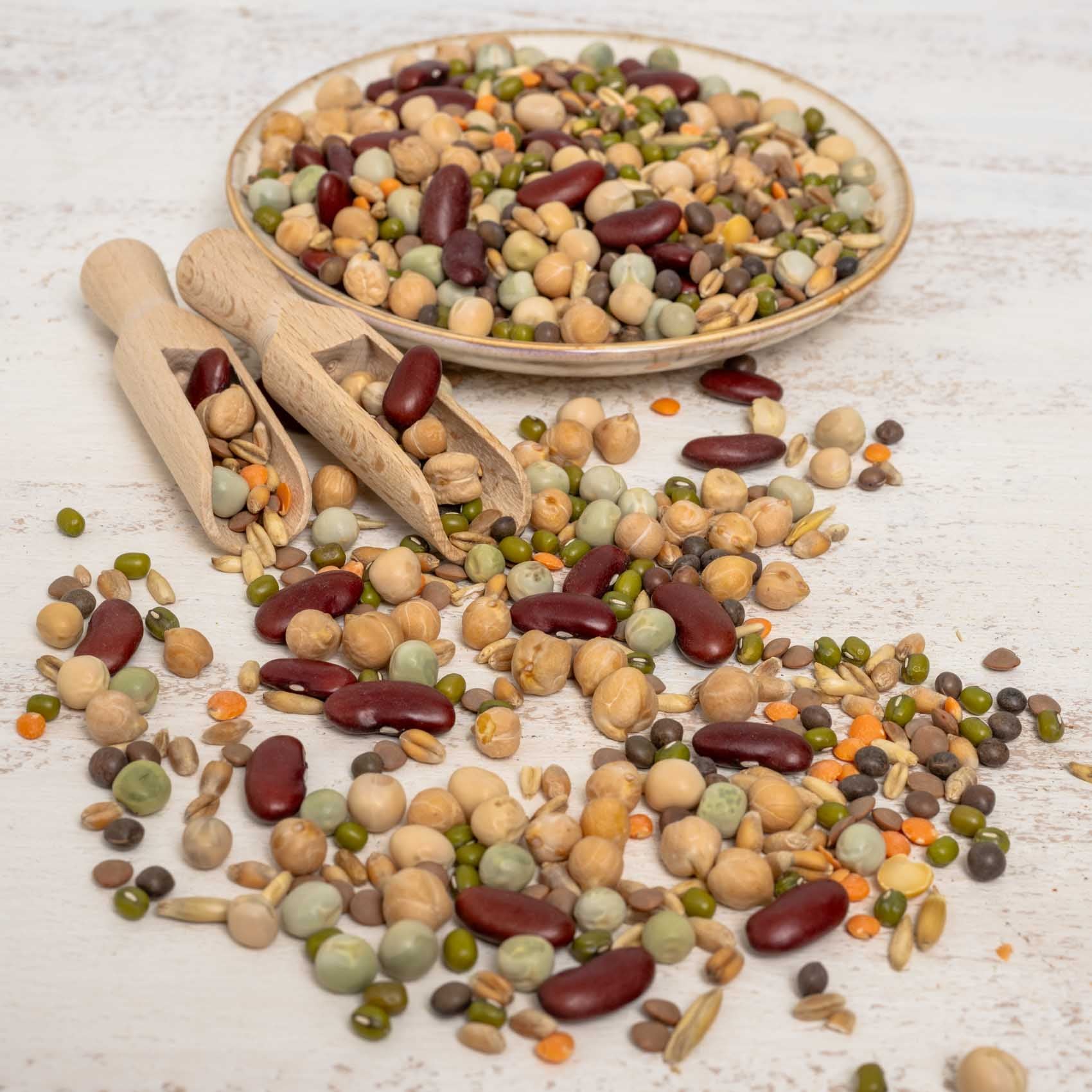 rico-s-futterkiste-keimfutter-eiwei-futter-papageienfutter-500-g image 3