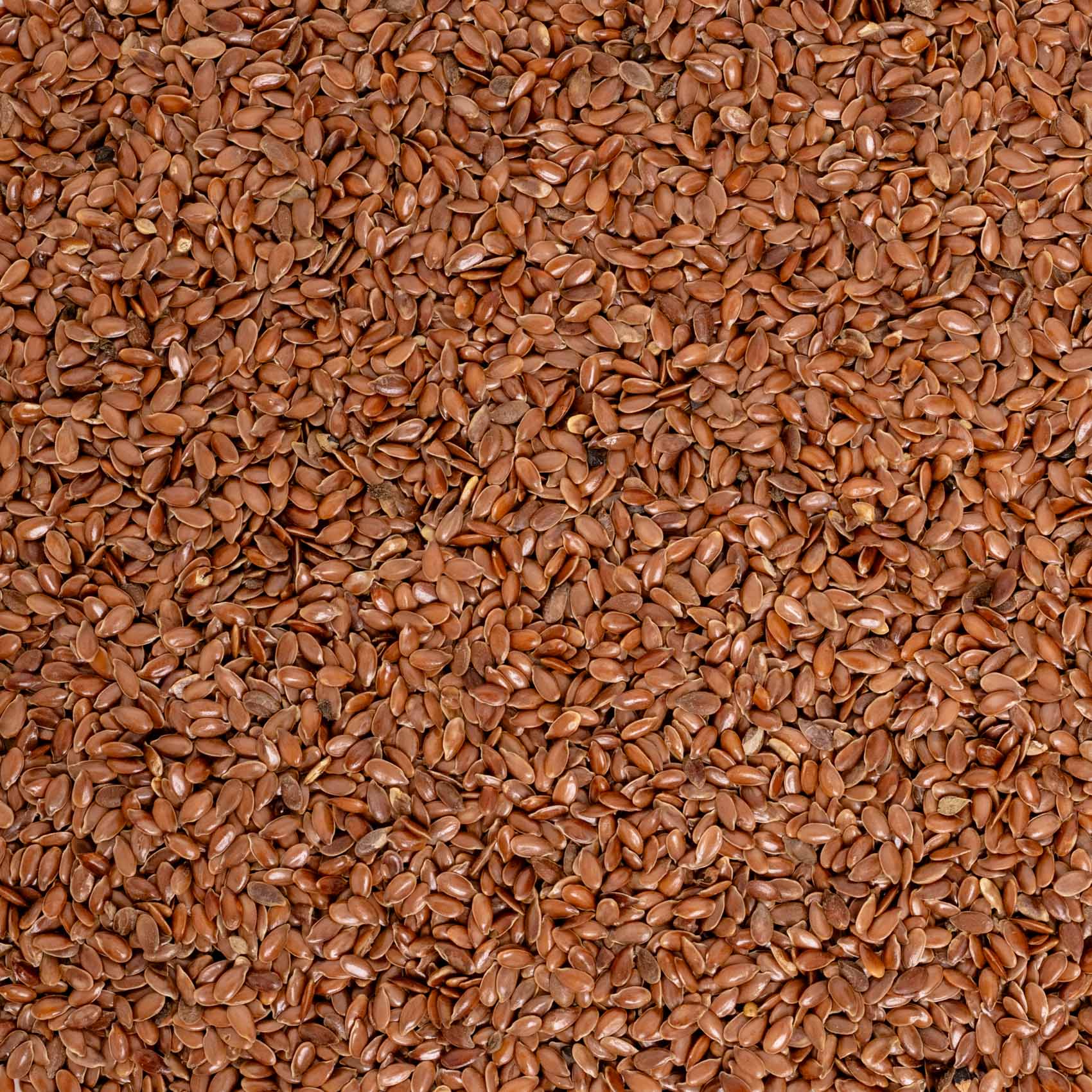rico-s-futterkiste-leinsaat-vogelfutter-omega-3-500-g image 2