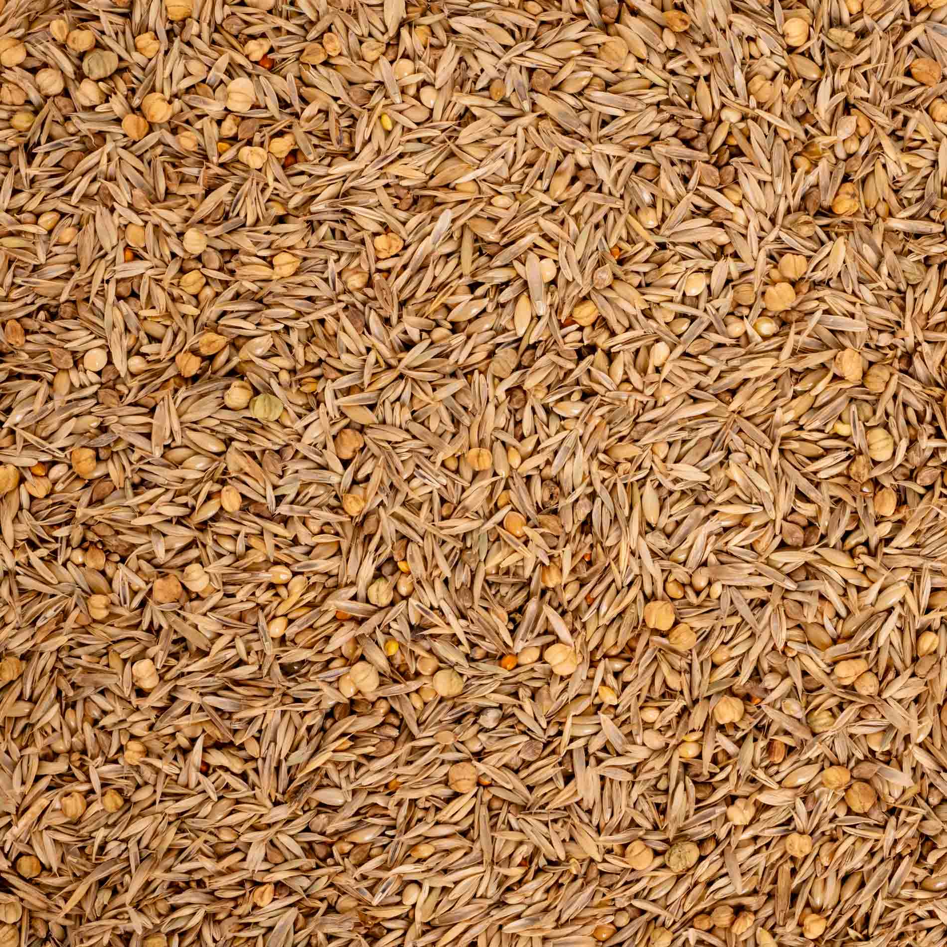 rico-s-futterkiste-erg-nzungsfutter-wellensittiche-400-g-naturbelassen image 2