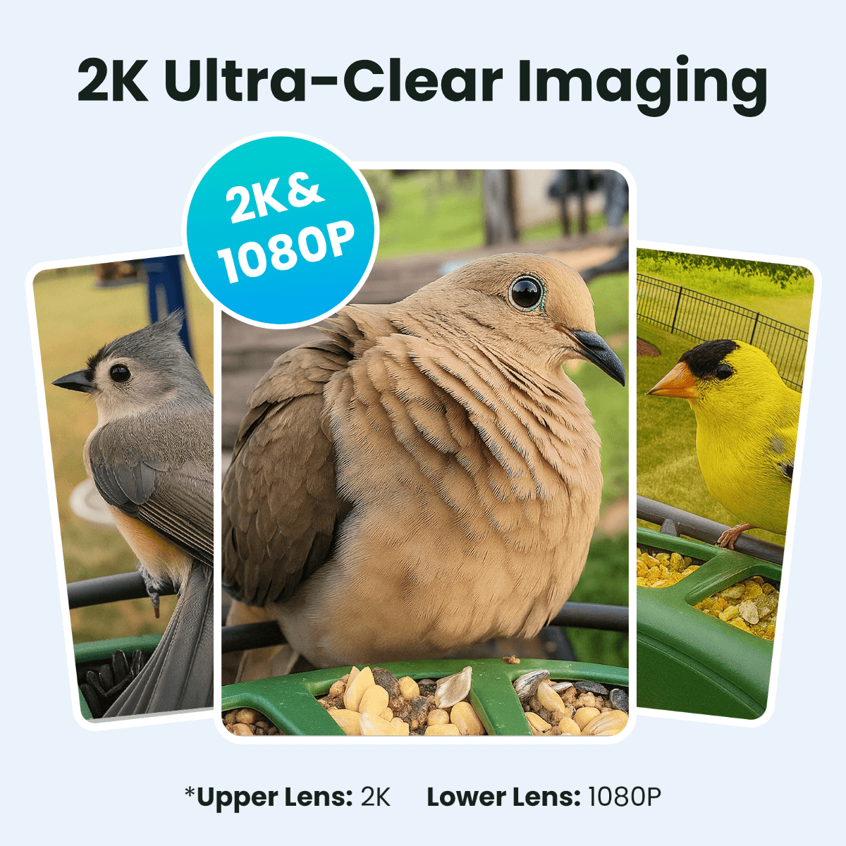 birdfy-feeder-2-pro-vogelhaus-mit-kamera-2k-dual-lens-solar image 4