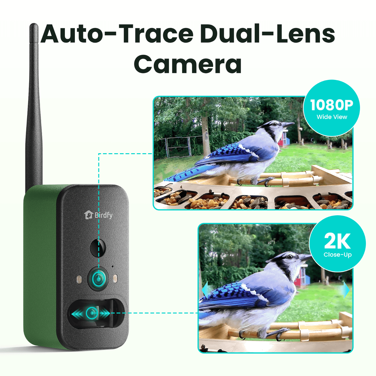 birdfy-feeder-bamboo-a-pro-futterstation-metall-kamera-2k image 7
