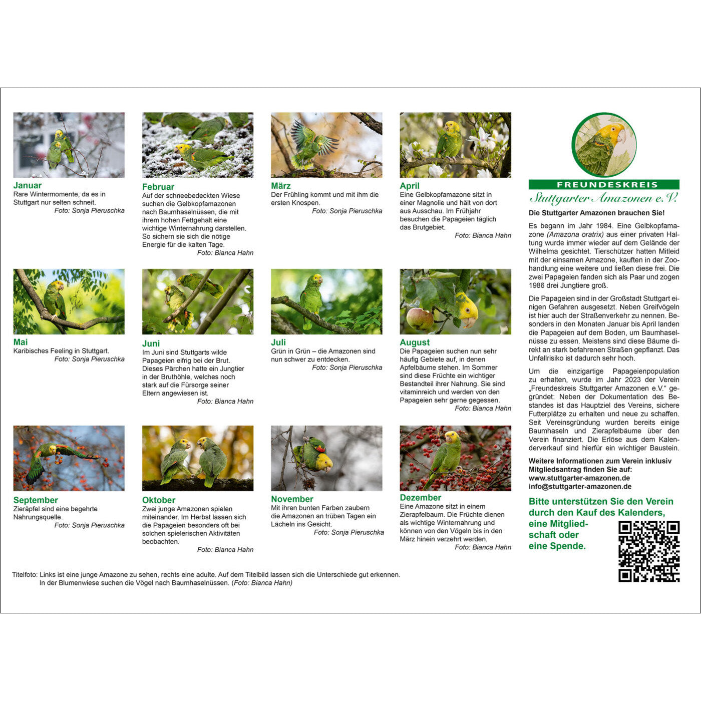 rico-s-futterkiste-kalender-stuttgarter-amazonen-2026-a3-papagei image 2