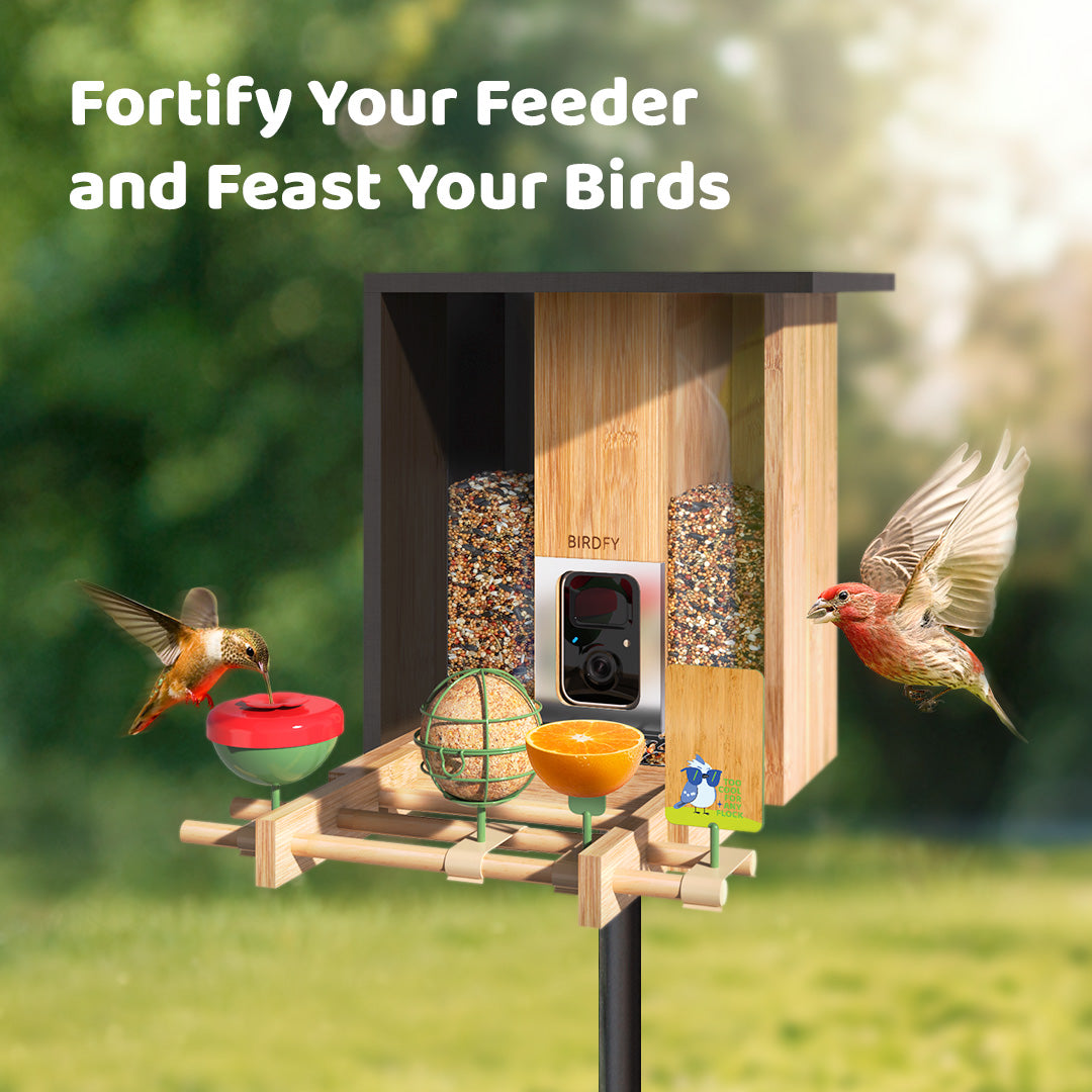 birdfy-feeder-bamboo-metall-add-ons-futterhaus-zubeh-r-komplett-set image 3