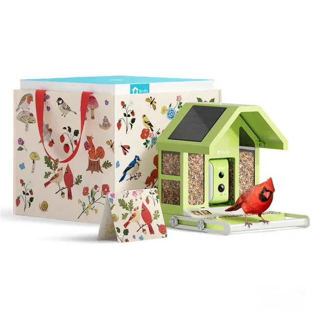 birdfy-feeder-metal-vogelhaus-mit-kamera-geschenkset-solar image 1