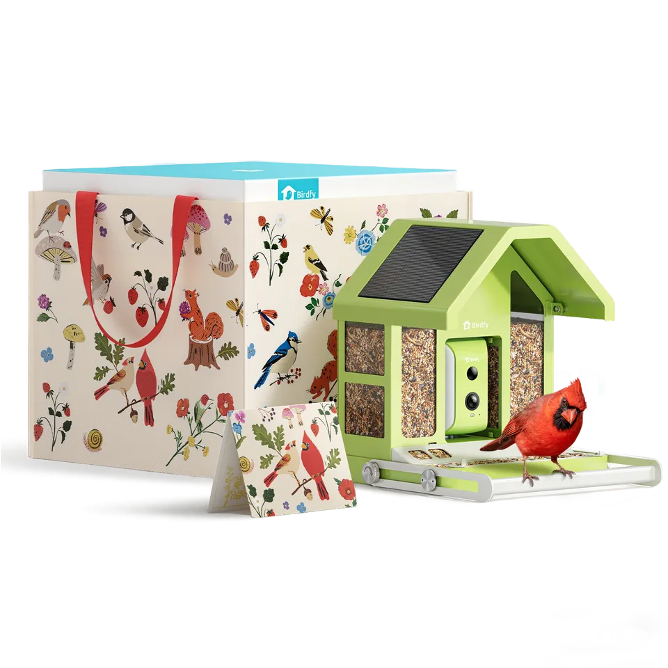 birdfy-feeder-metal-vogelhaus-mit-kamera-geschenkset-solar image 1