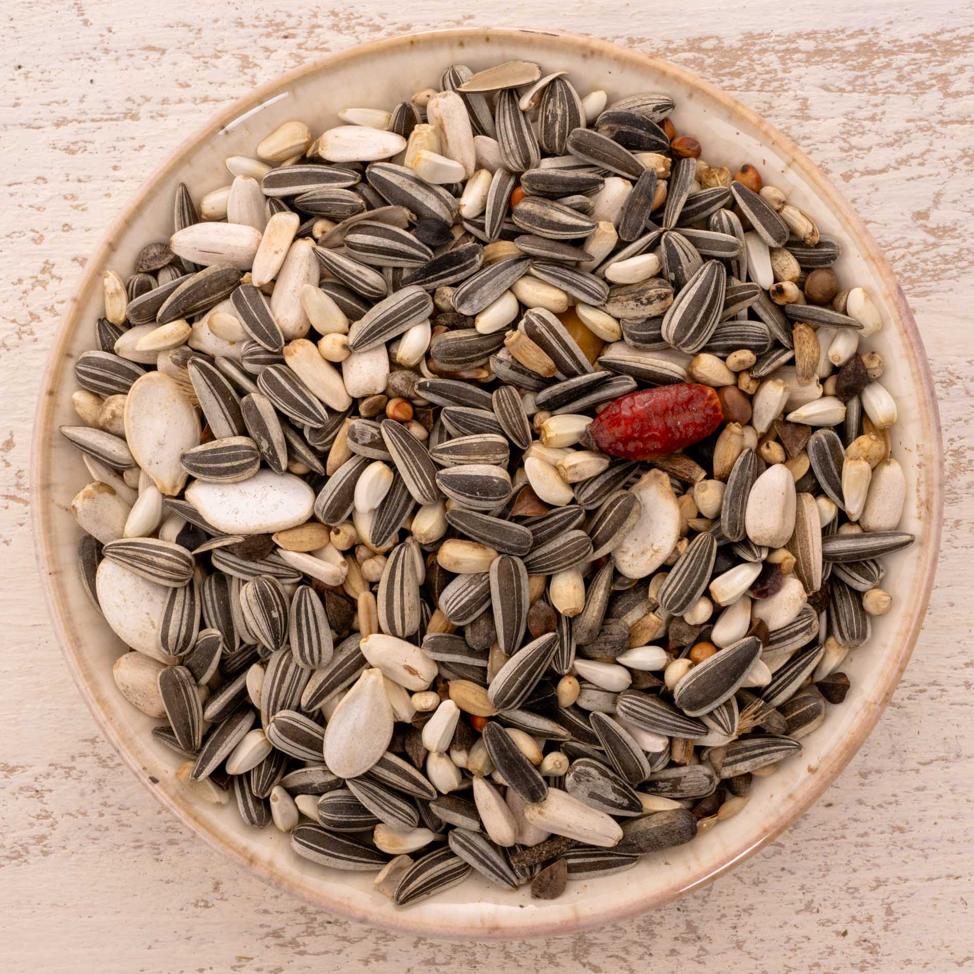 rico-s-futterkiste-graupapagei-spezial-1-papageienfutter-1-kg-naturbelassen image 1