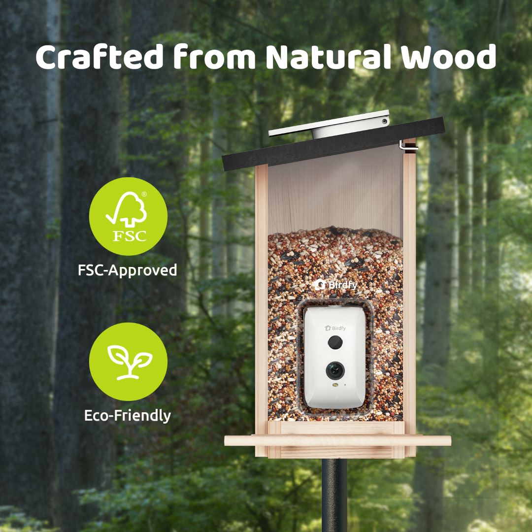 birdfy-feeder-ebony-vogelhaus-holz-mit-kamera-1080p image 6