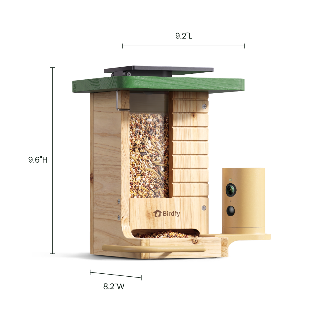 birdfy-feeder-wood-gift-set-vogelhaus-kamera-solar-holz image 5