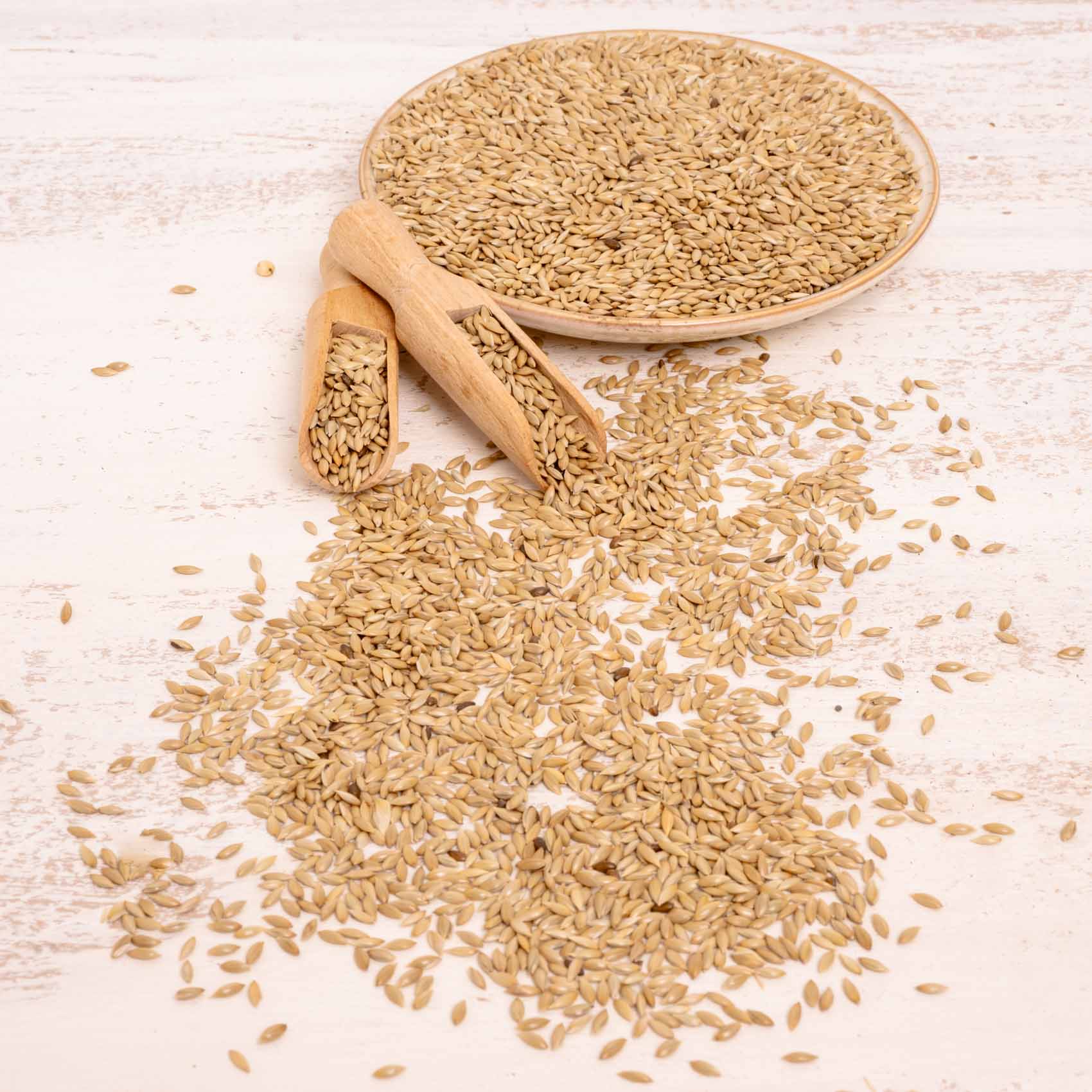 rico-s-futterkiste-kanariensaat-einzelsaat-500-g-proteinreich image 3