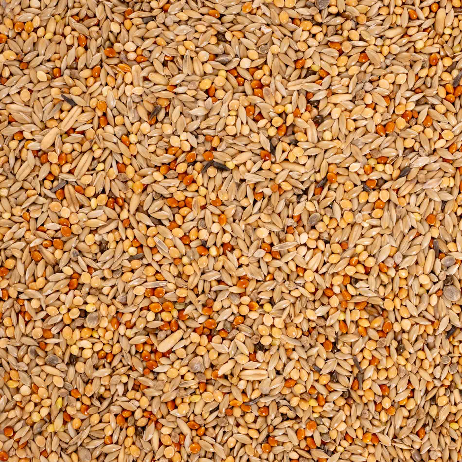 rico-s-futterkiste-spezial-1-wellensittichfutter-1-kg-naturell image 3