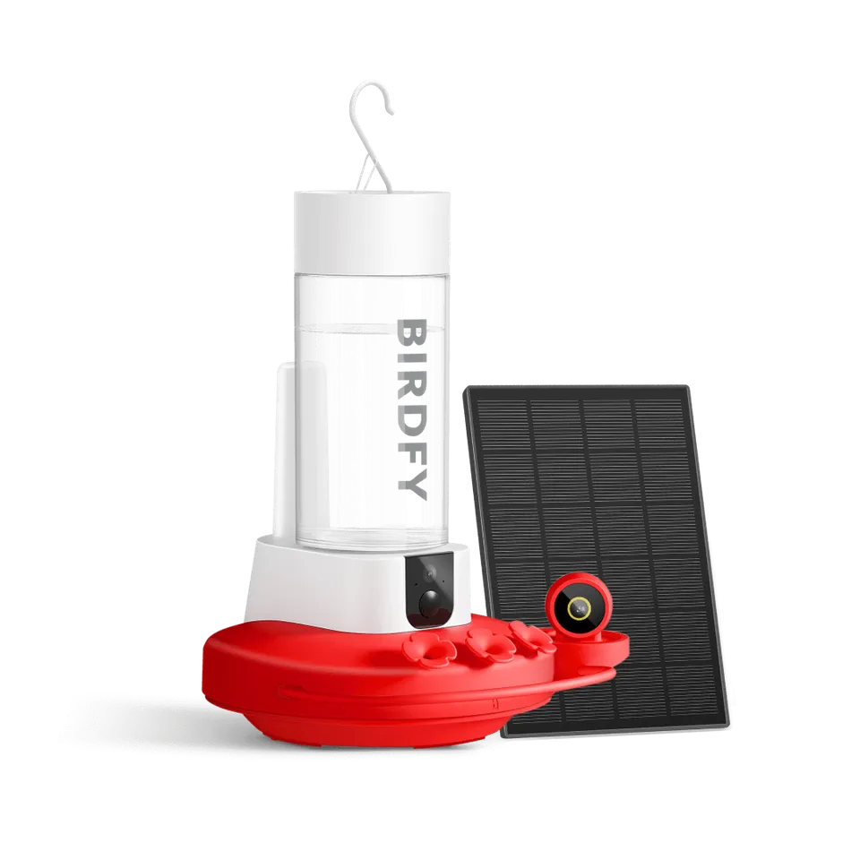 birdfy-hum-feeder-duo-kolibri-futterspender-2k-1-jahr-plus image 1