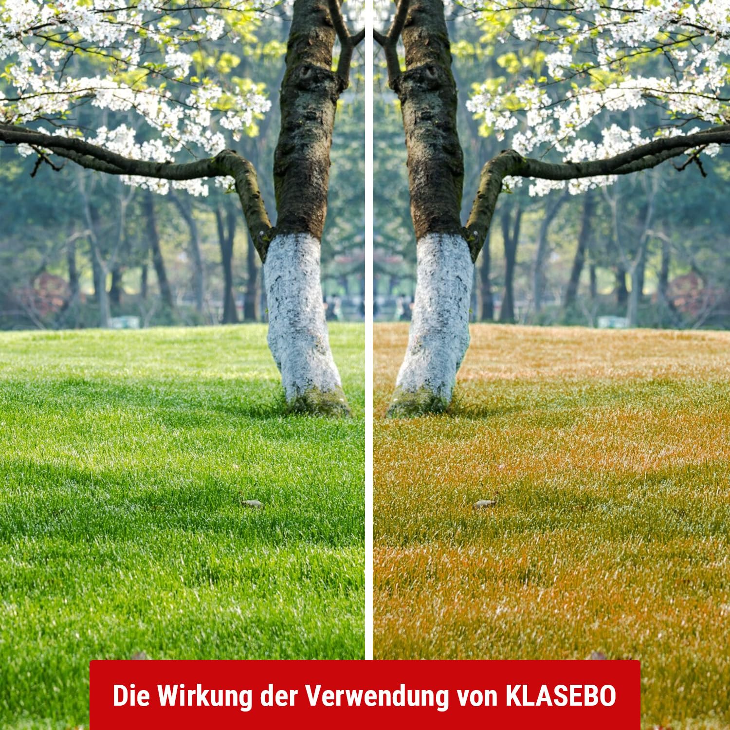 klasebo-rasend-nger-fr-hling-sommer-20-kg-npk-21-6-12 image 3