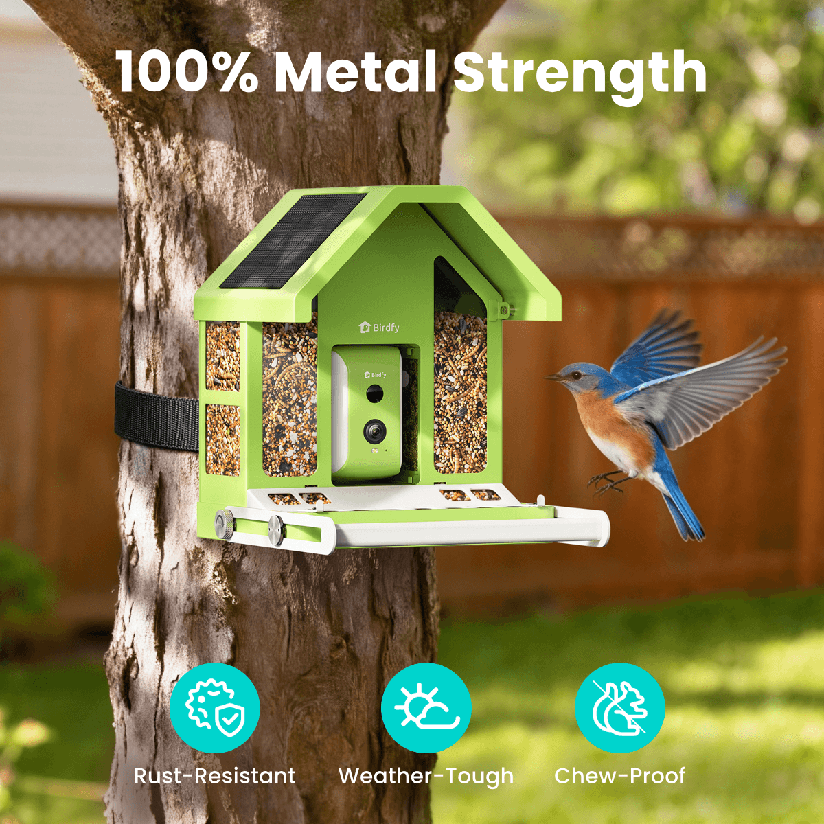 birdfy-feeder-metal-vogelfutterhaus-mit-kamera-1080p-solar image 2