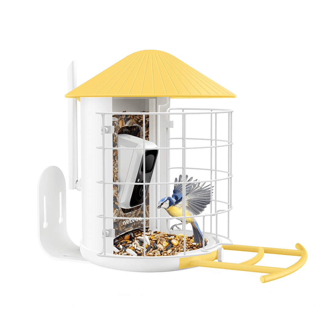 birdfy-shield-schutz-f-r-vogelfutterhaus-feeder-1 image 4