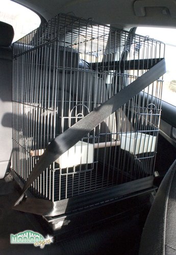 montana-cages-atlanta-eos-travel-transportk-fig-44-cm image 4