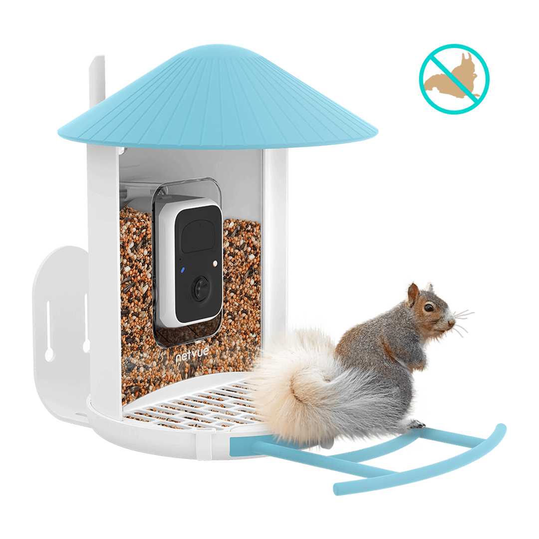 birdfy-bird-seed-guard-futterschutz-f-r-feeder-1-2er-set image 5