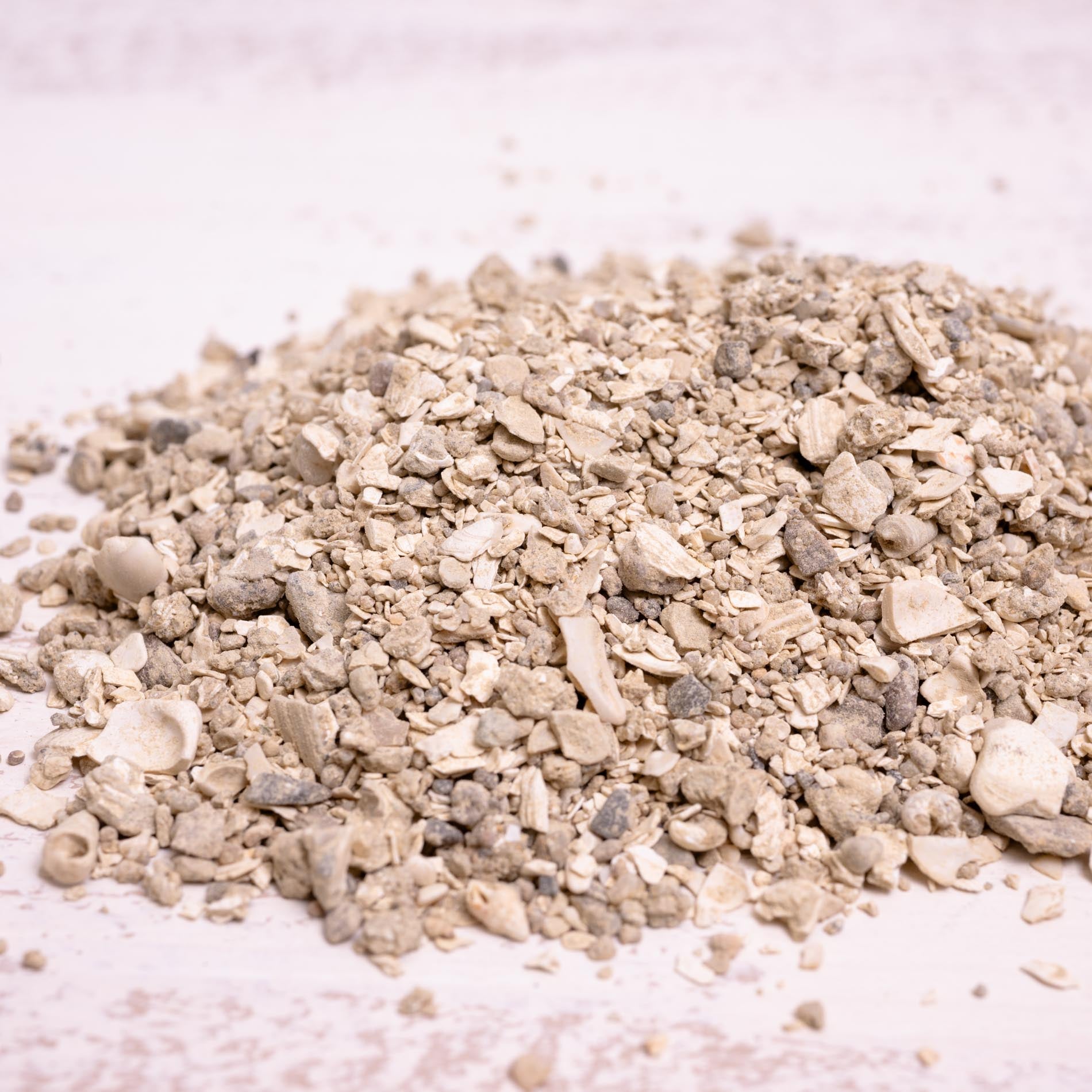 rico-s-futterkiste-muschelgrit-mittel-vogelgrit-1-kg-calcium image 1