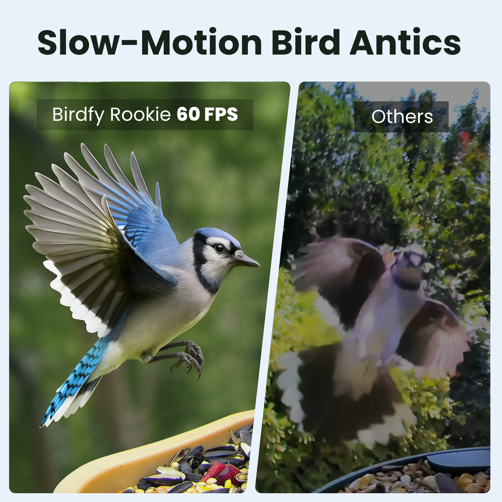birdfy-rookie-vogelfutterhaus-mit-kamera-gr-n-60fps image 6