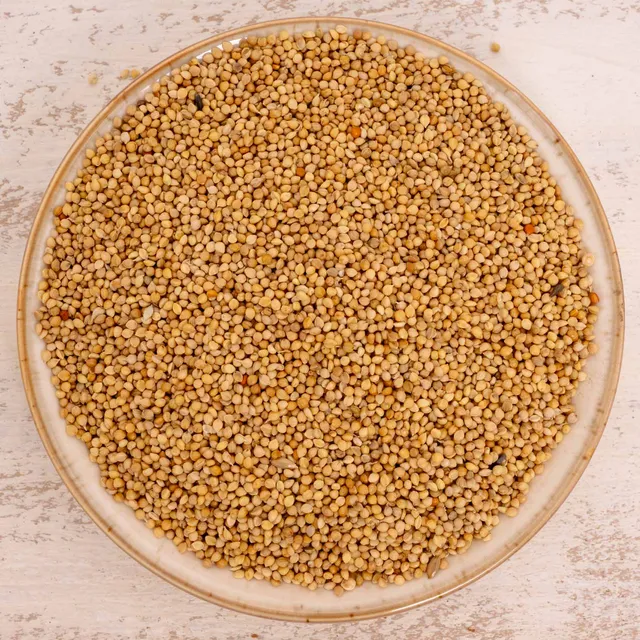 rico-s-futterkiste-einzelsaaten-senegalhirse-vogelfutter-500-g image 1