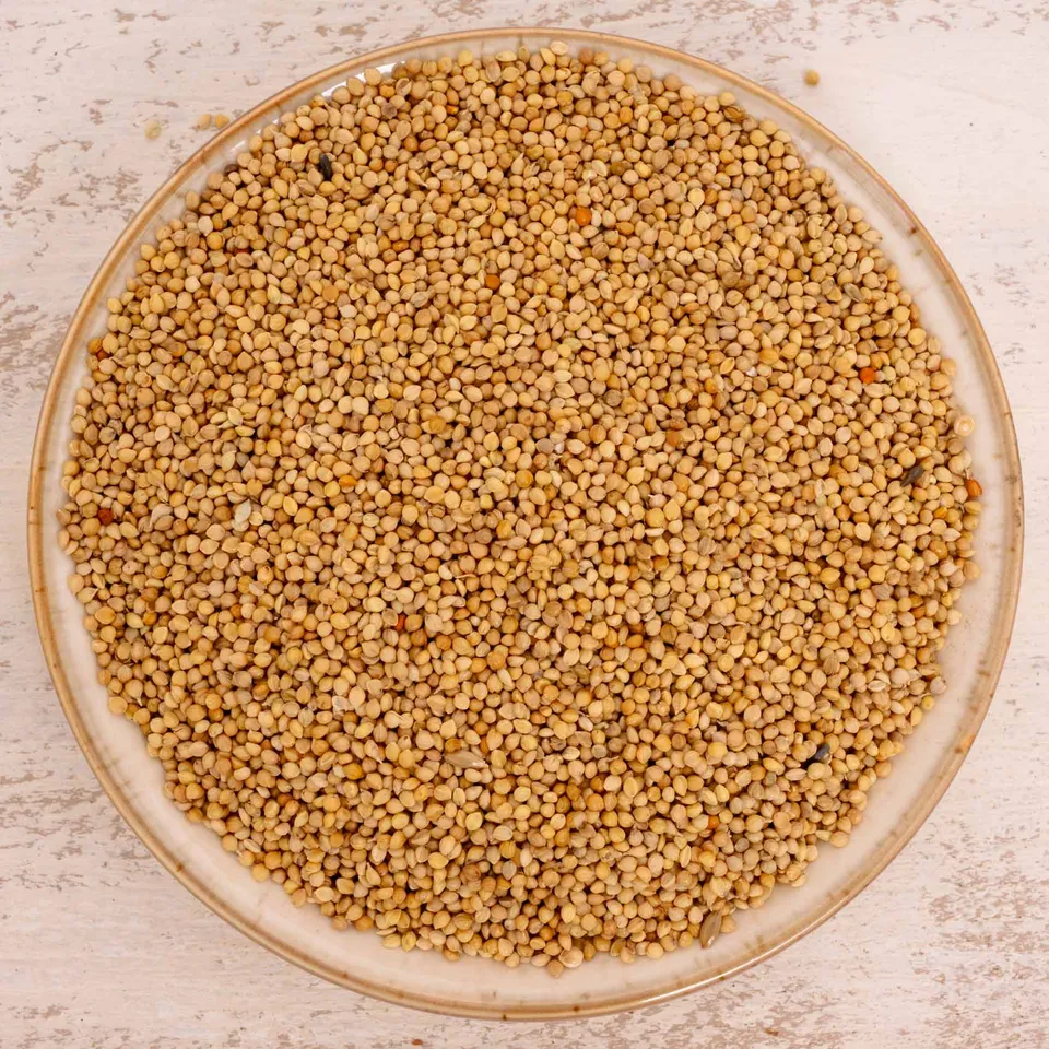 rico-s-futterkiste-einzelsaaten-senegalhirse-vogelfutter-500-g image 1