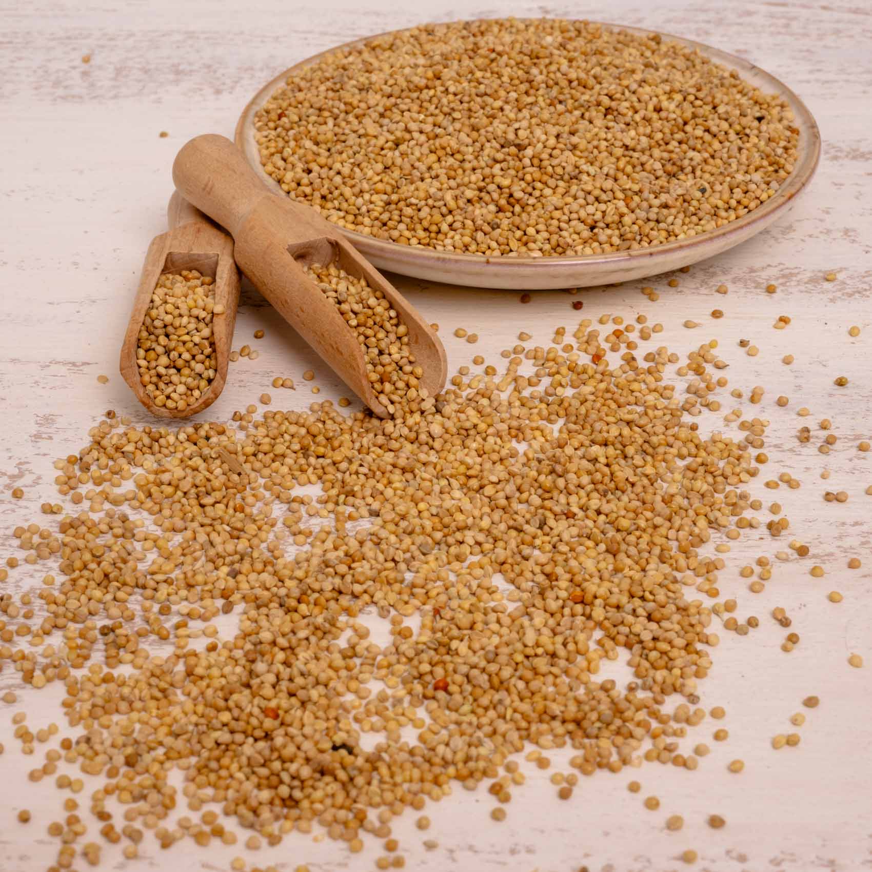 rico-s-futterkiste-einzelsaaten-senegalhirse-vogelfutter-500-g image 3