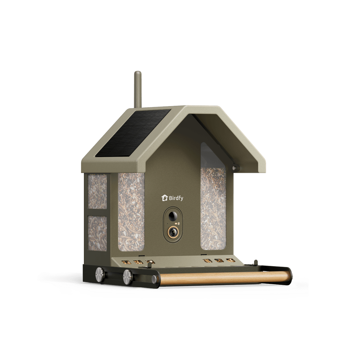 birdfy-feeder-metal-2-4k-vogelfutterhaus-mit-kamera-lifetime image 1
