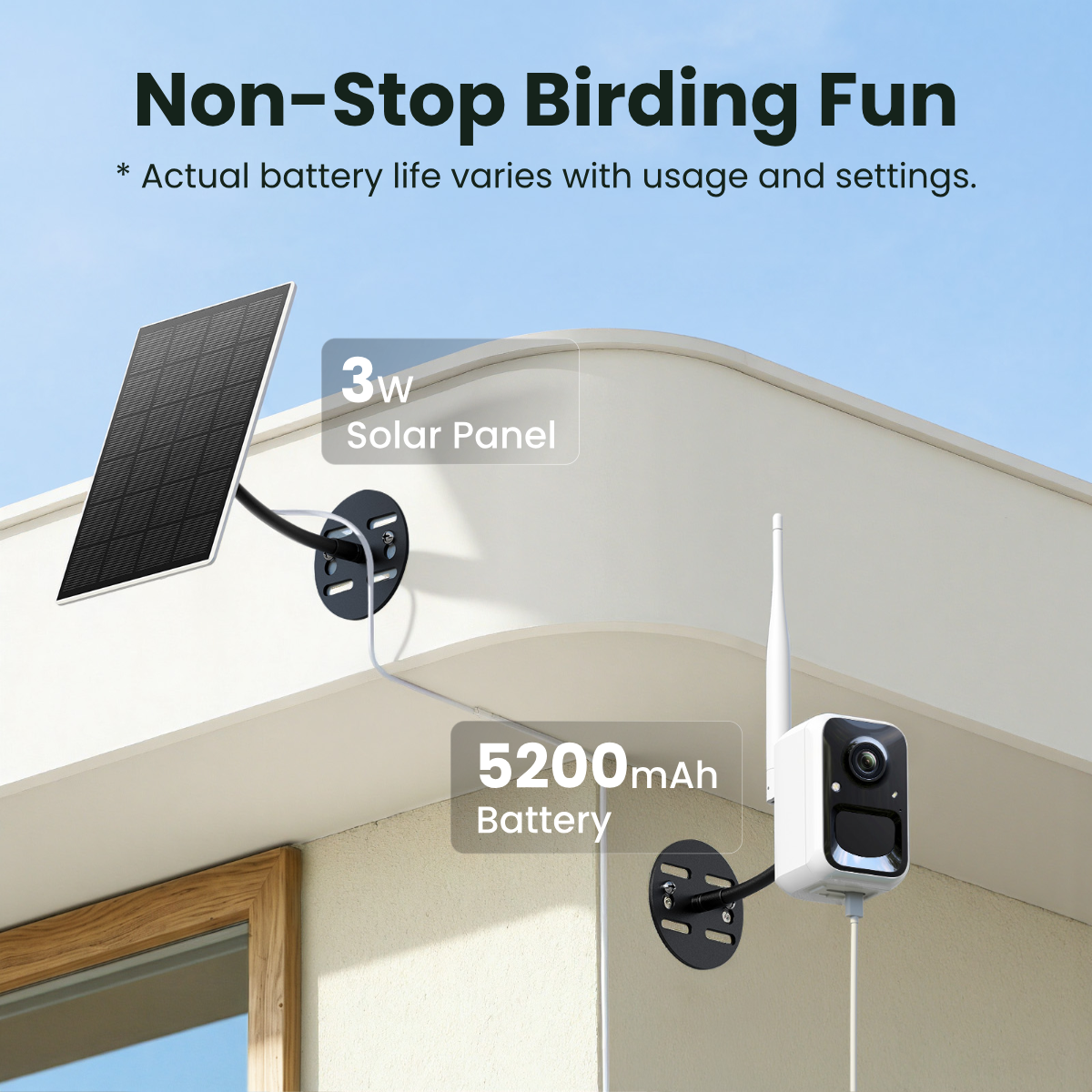 birdfy-add-ons-cam-2k-vogelkamera-f-r-futterstation-wlan image 7