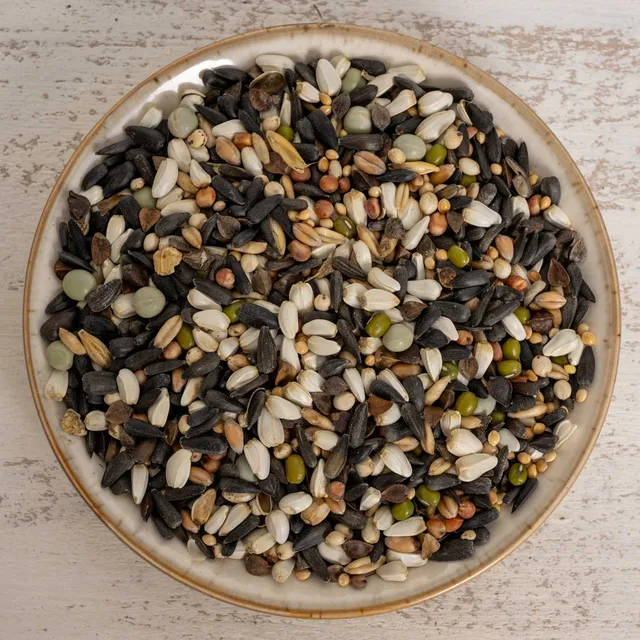 rico-s-futterkiste-keimfutter-kleine-papageien-vogelfutter-500-g image 1