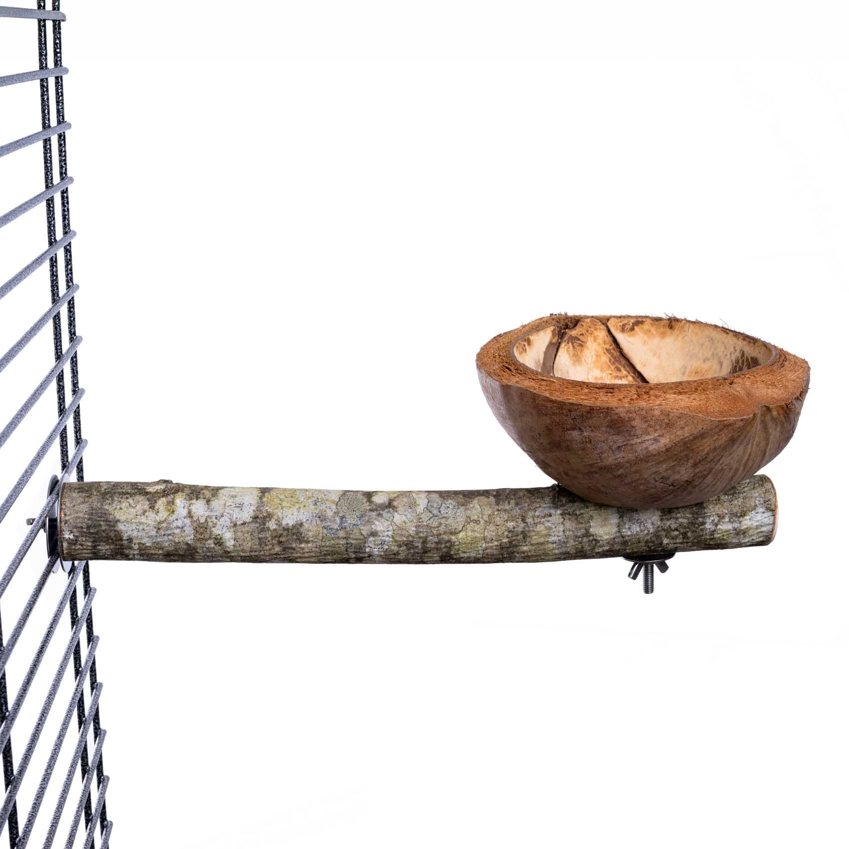 rico-s-futterkiste-sitzast-kokosnuss-futterschale-papagei-holz image 1