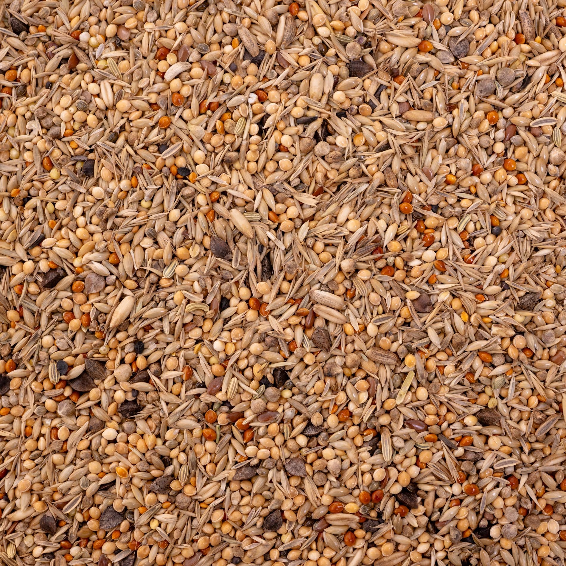 rico-s-futterkiste-gro-sittich-vogelfutter-nymphensittich-1-kg image 2