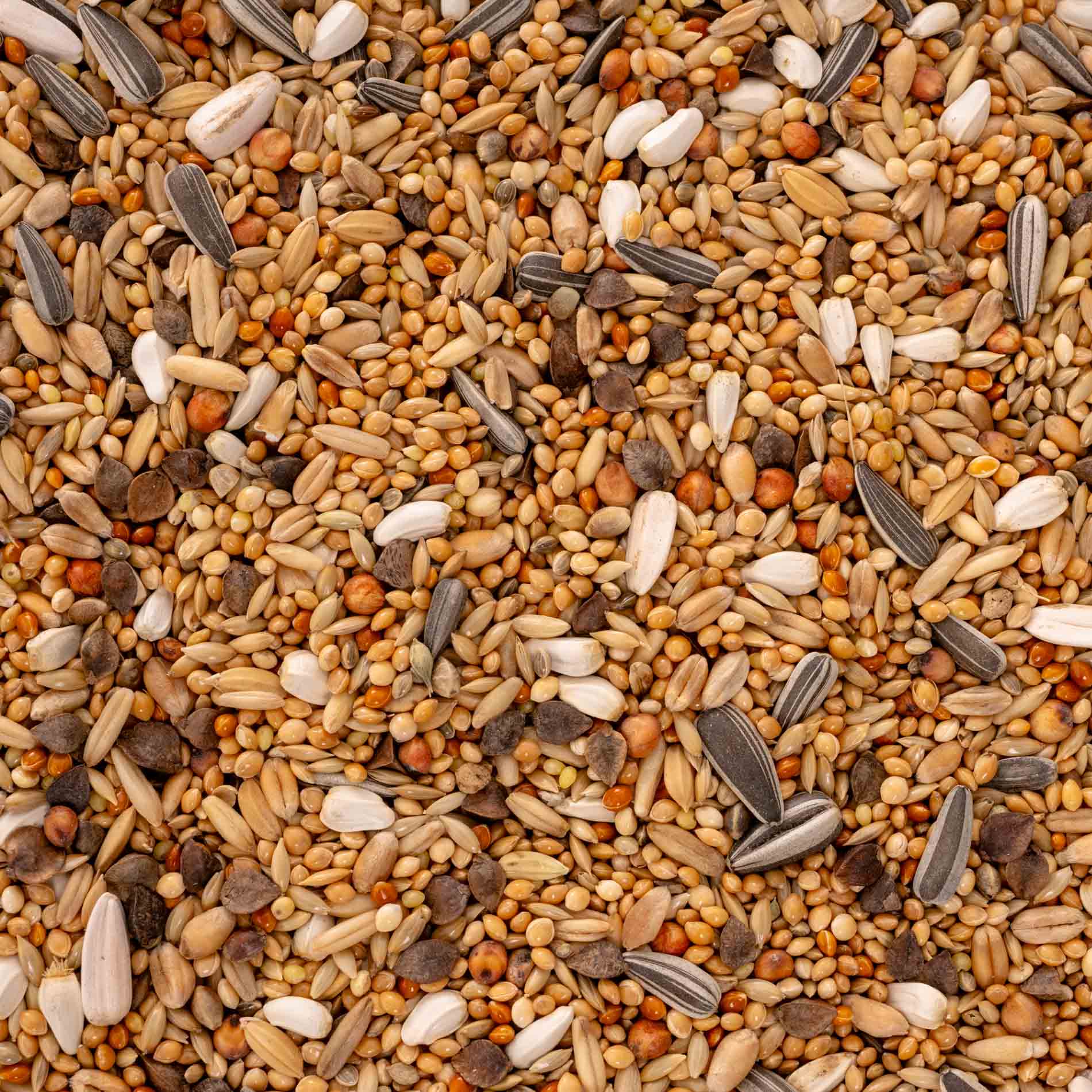 rico-s-futterkiste-gro-sittich-spezial-1-vogelfutter-1-kg-18-saaten image 3