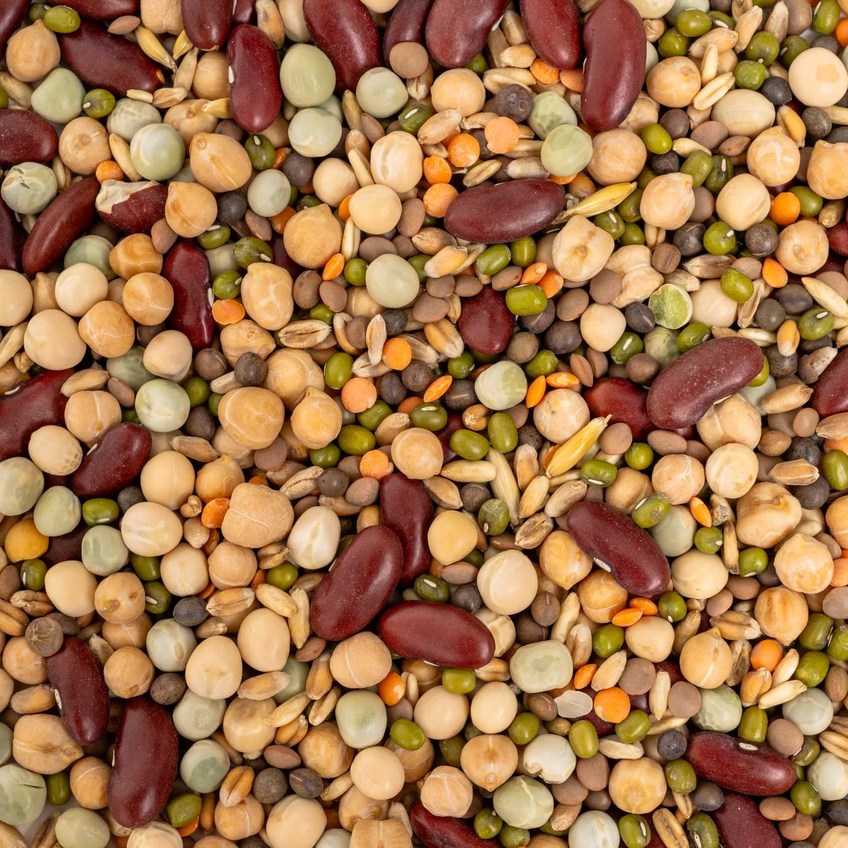 rico-s-futterkiste-keimfutter-eiwei-futter-papageienfutter-500-g image 2
