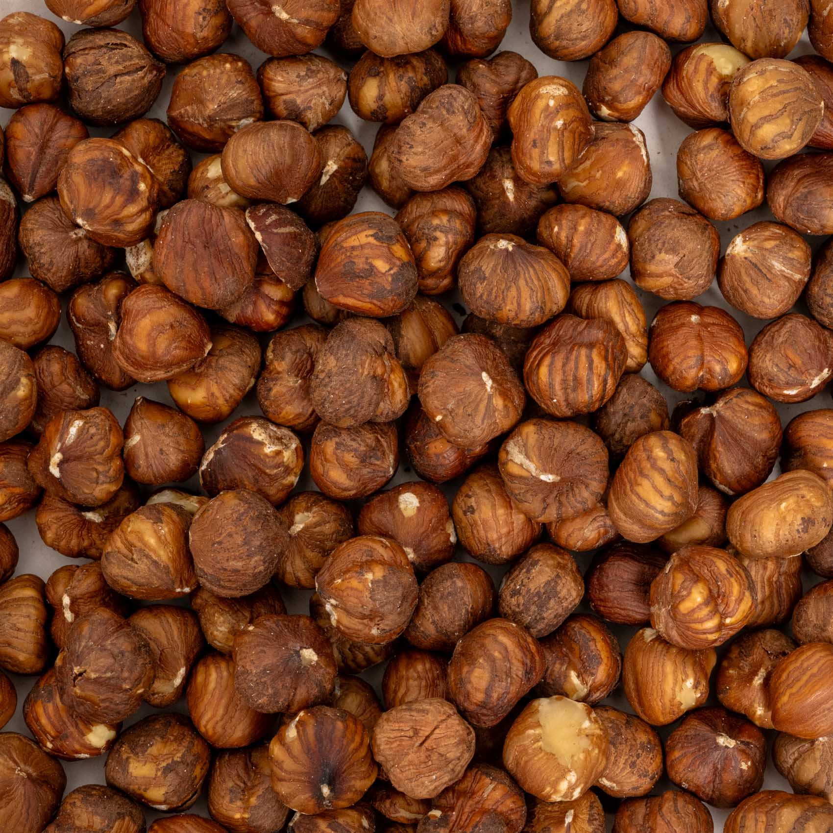 rico-s-futterkiste-haselnusskerne-papageienfutter-100-g-vitamin-e image 2