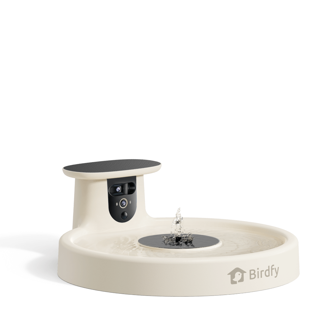 birdfy-bath-pro-vogeltr-nke-mit-kamera-blau-solar-mit-brunnen image 2