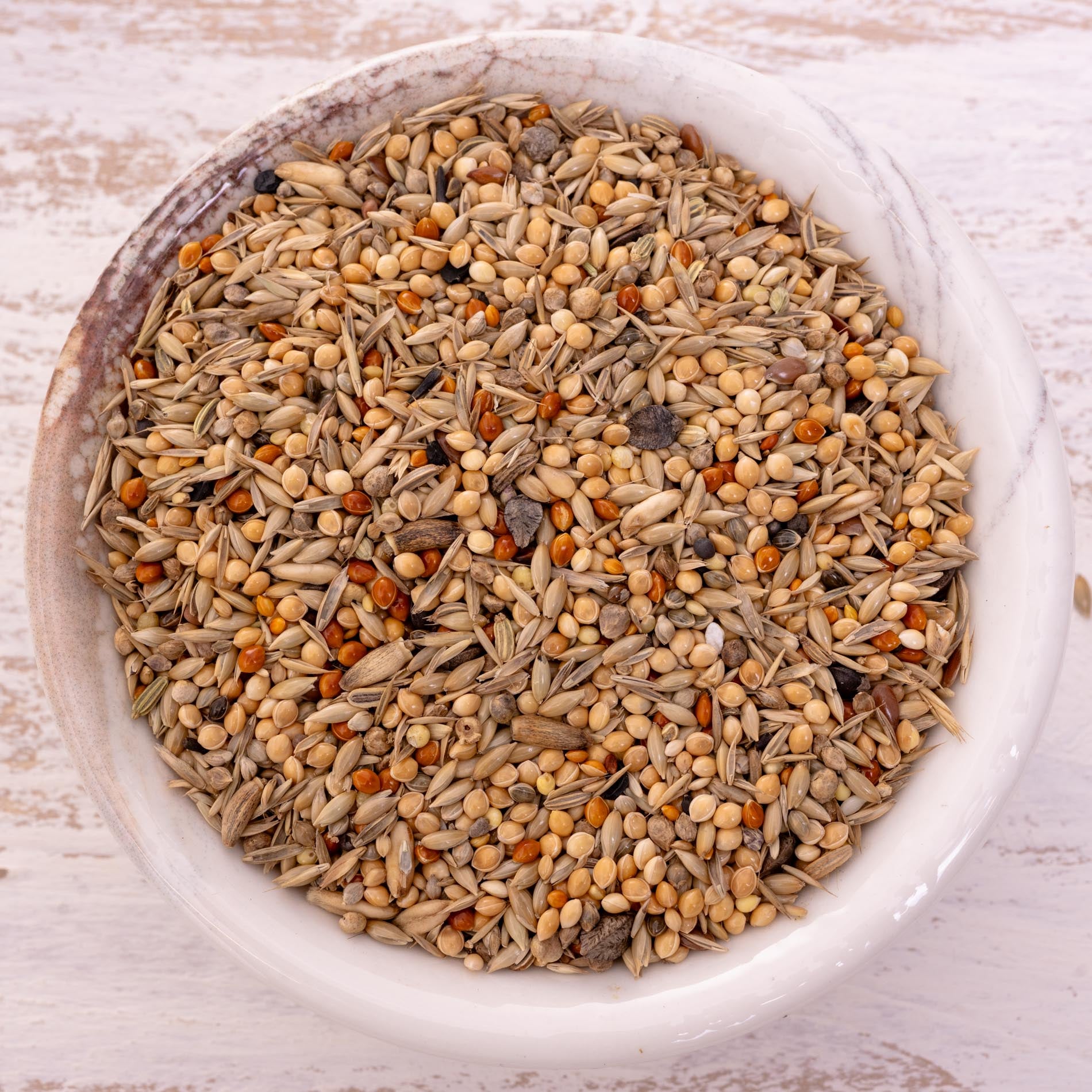 rico-s-futterkiste-gro-sittich-vogelfutter-nymphensittich-1-kg image 1