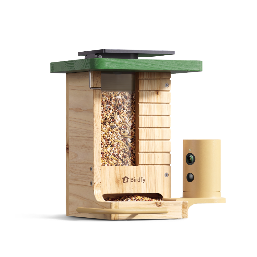 birdfy-feeder-wood-vogelhaus-mit-kamera-holz-1-jahr-plus image 1