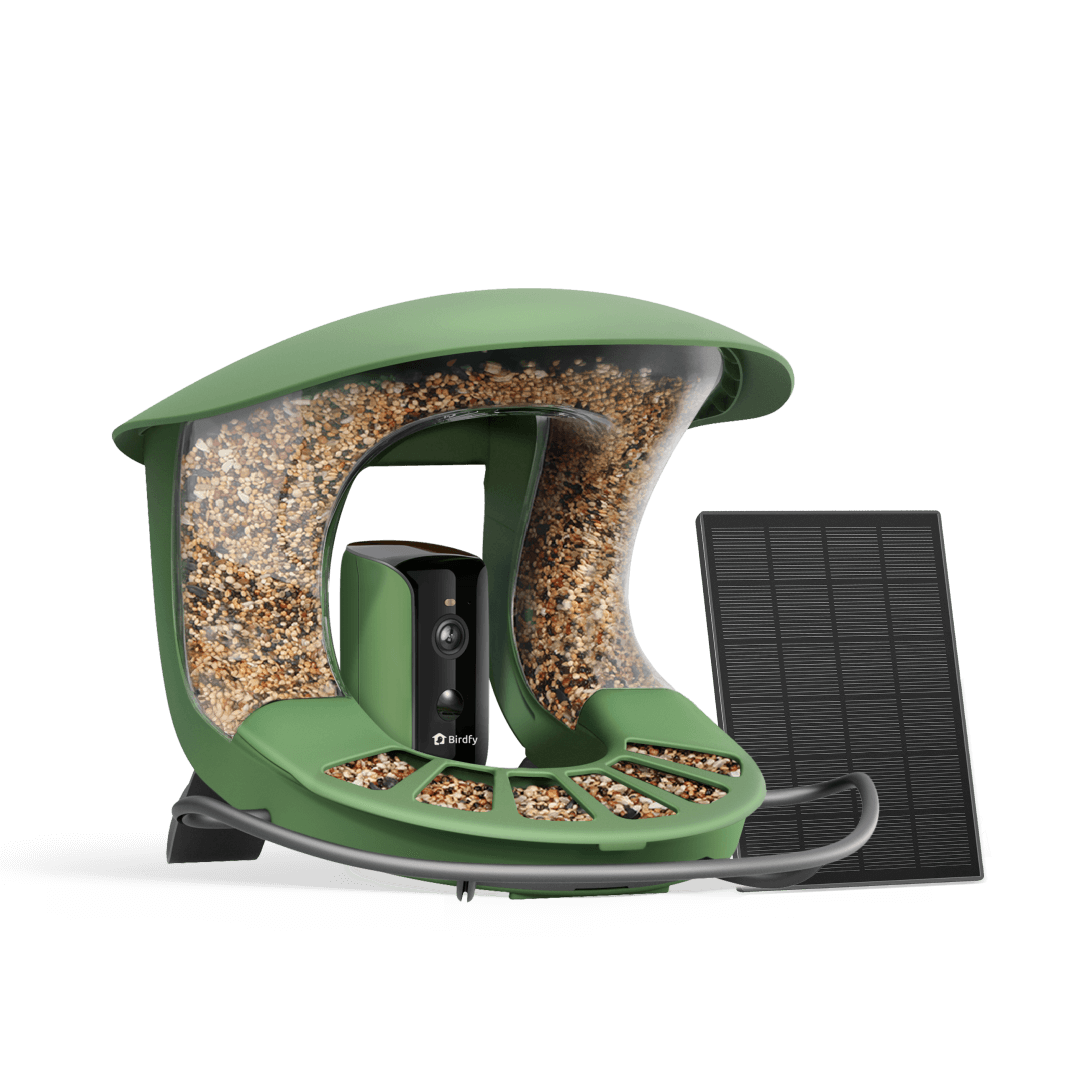 birdfy-feeder-2-bf2-vogelhaus-mit-kamera-1080p-ki image 1