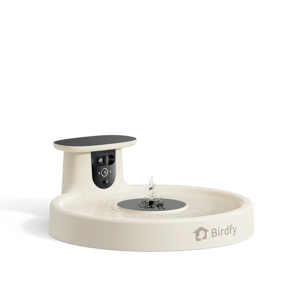 birdfy-bath-pro-vogeltr-nke-mit-kamera-wei-solar-2k image 1