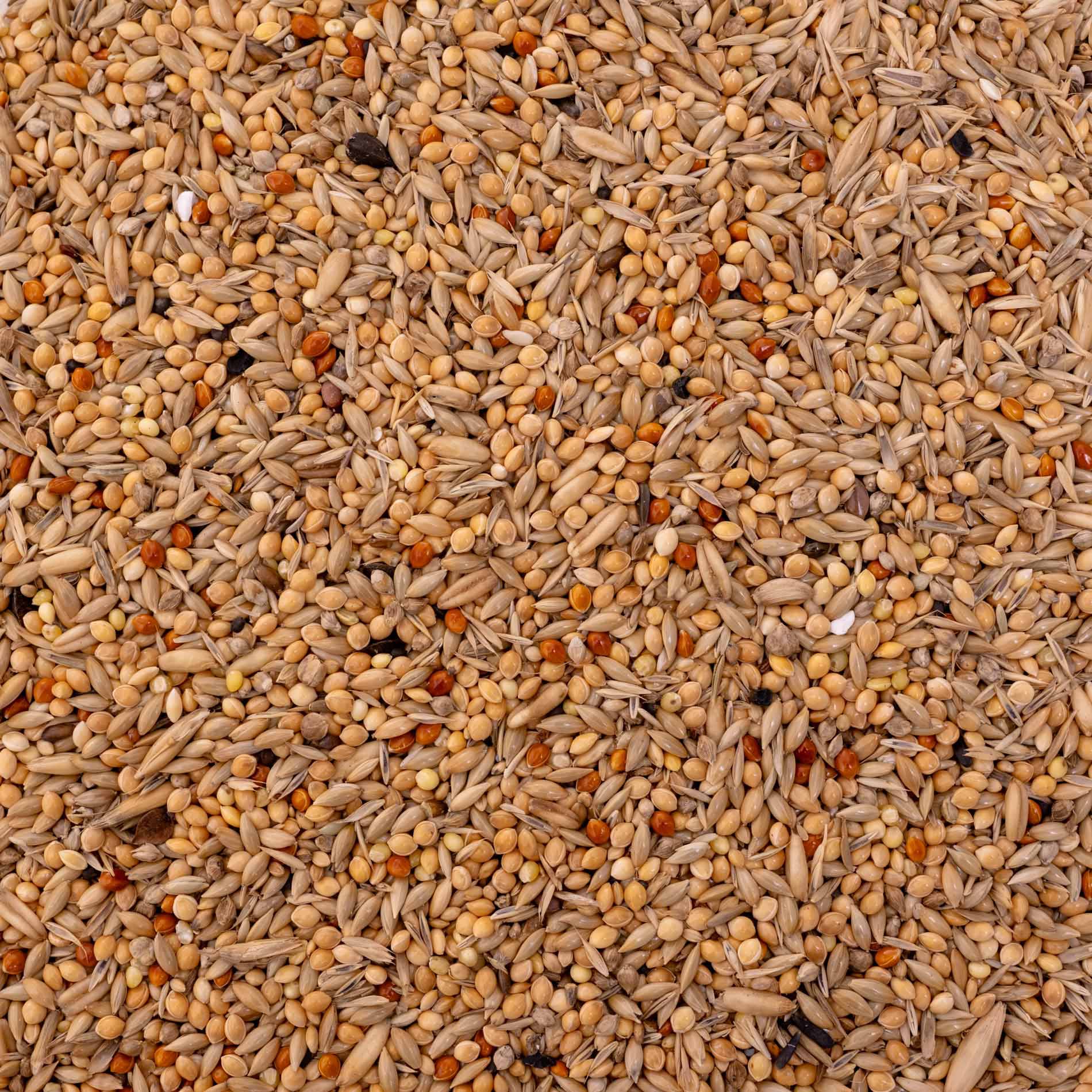 rico-s-futterkiste-wellensittich-spezial-2-vogelfutter-1-kg image 2