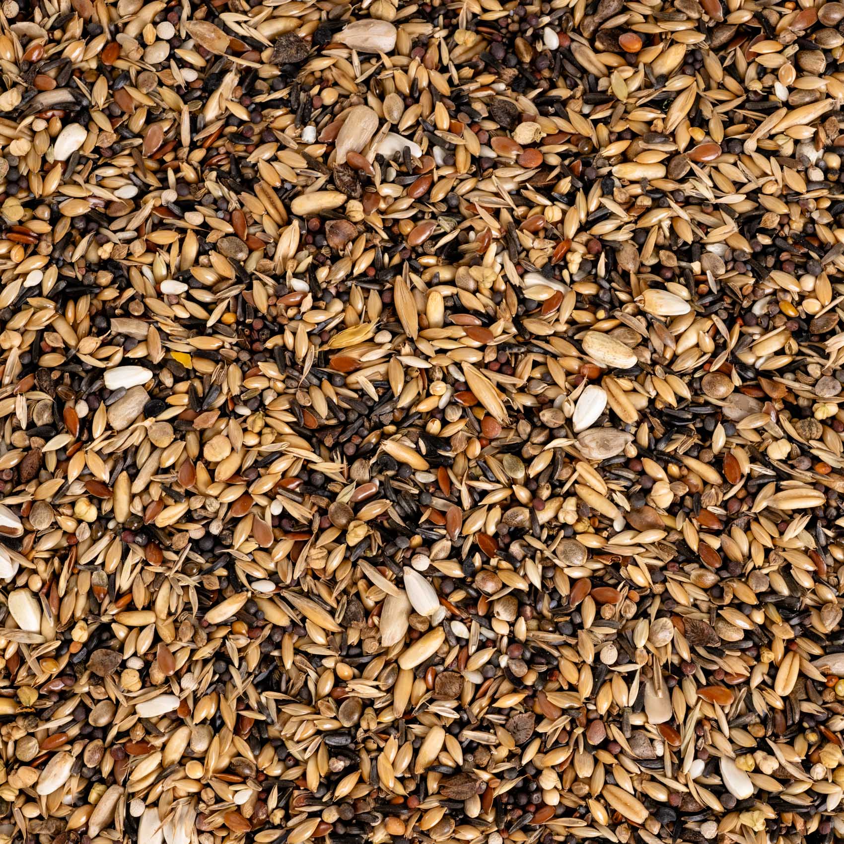 rico-s-futterkiste-waldvogel-spezial-sittichfutter-500g-wildsamen image 2