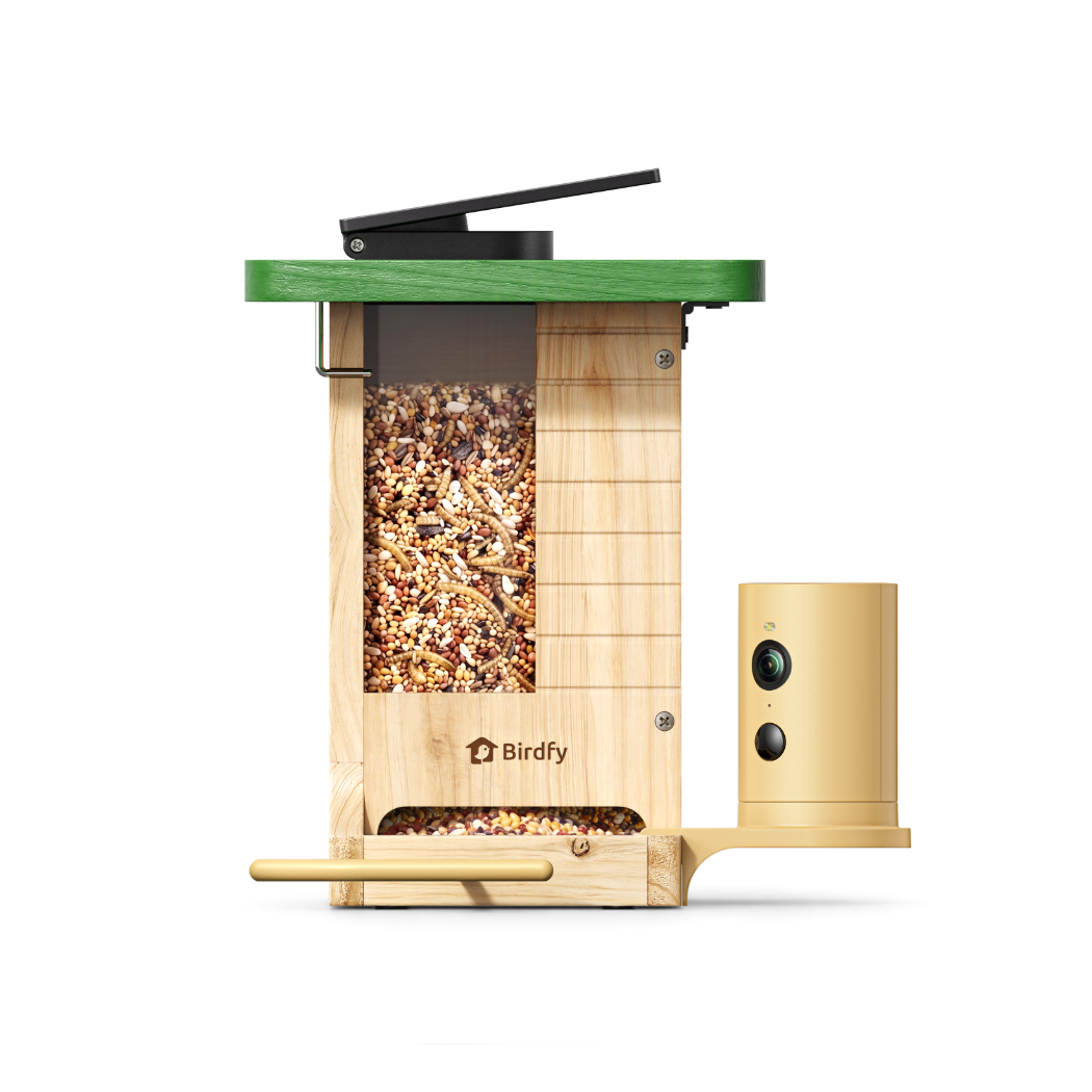 birdfy-feeder-wood-gift-set-vogelhaus-kamera-solar-holz image 2