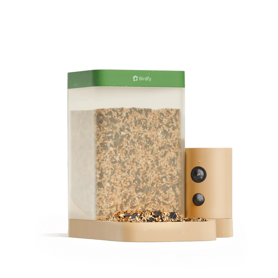 birdfy-feeder-rookie-vogelhaus-mit-kamera-1080p-inkl-mitgliedschaft image 1